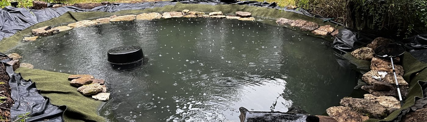 Teich-Zwischenstand